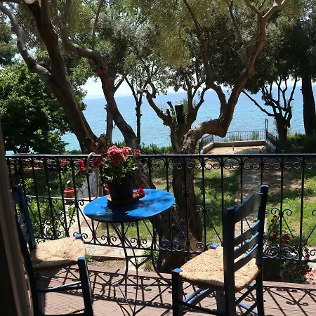 Seafront Studio Akti Διαμέρισμα Ελιά