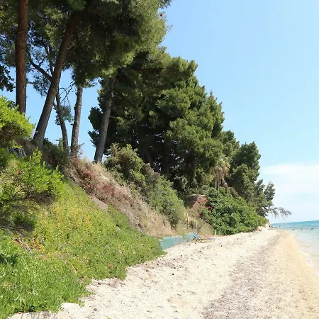Seafront Studio Akti Ελιά