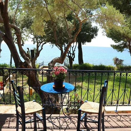 Διαμέρισμα Seafront Studio Akti Ελιά